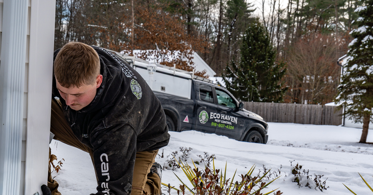 Pest control worker inspecting home exterior in winter